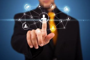 千人同行，万人聚焦 龙门馨园携手合浦海上丝绸之路荧光夜行，共筑安全互联新体验